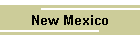 New Mexico